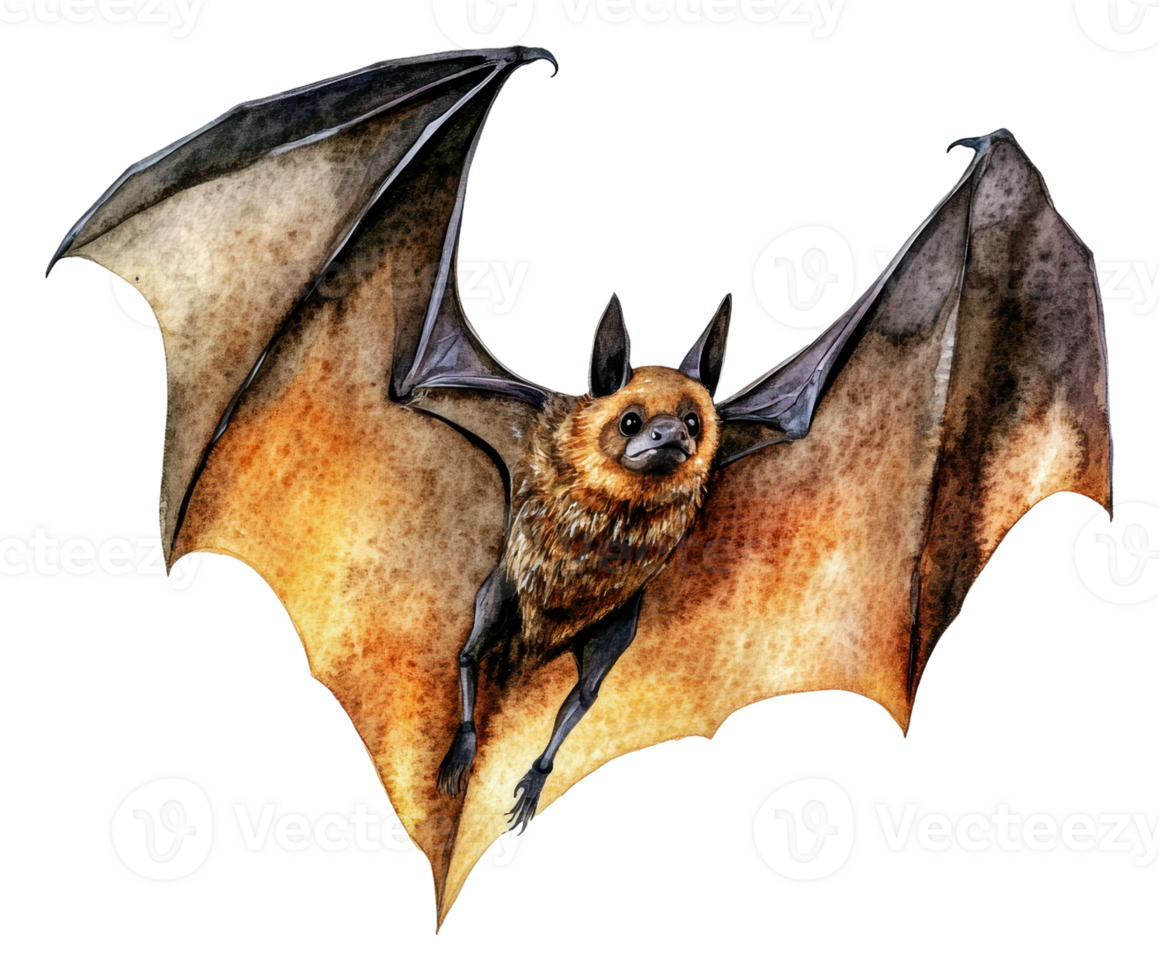 Bat in flight showcasing detailed wing structure, cut out - stock . png