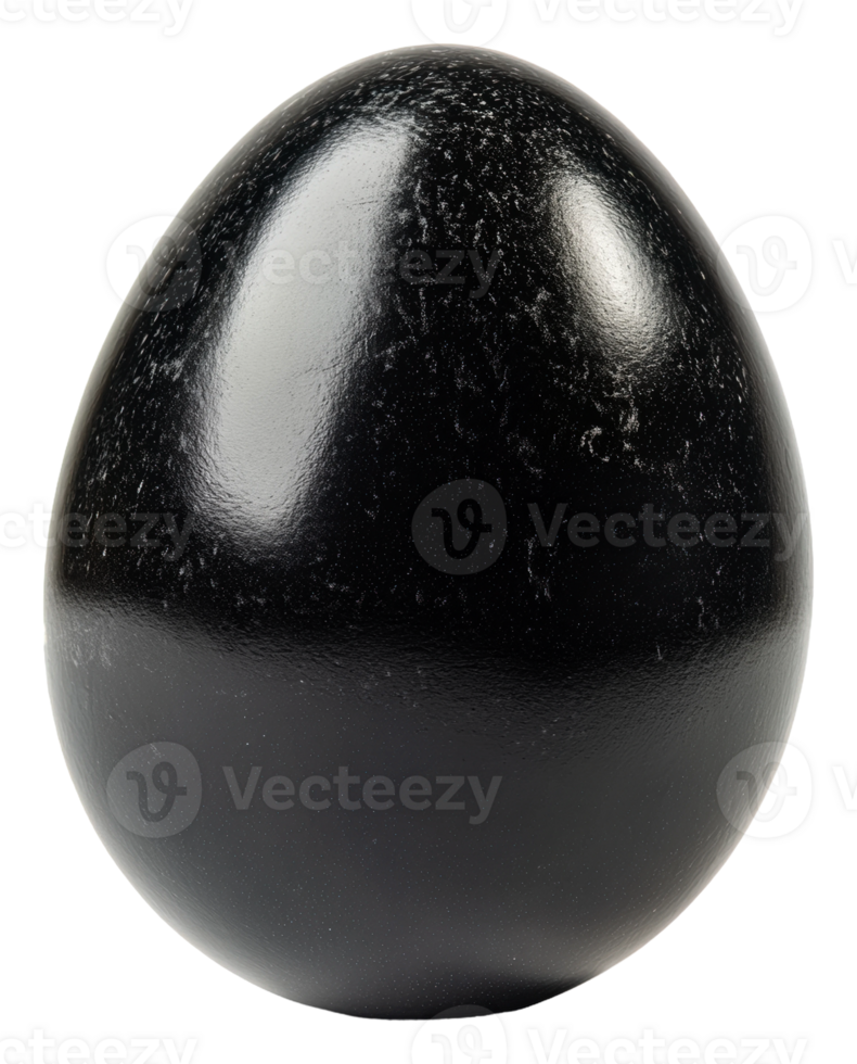 Unique black egg resting on a smooth surface, cut out - stock . png
