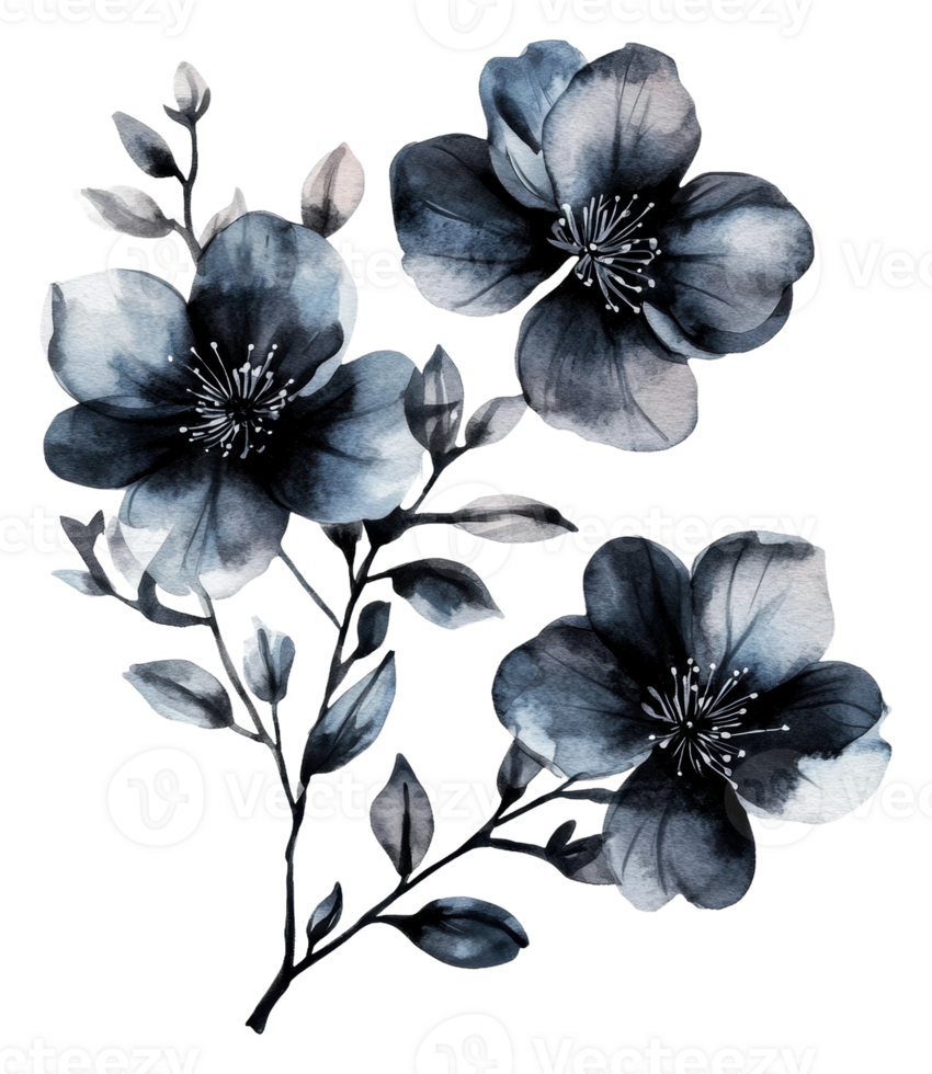 Elegant watercolor flowers in shades of blue, cut out - stock . png