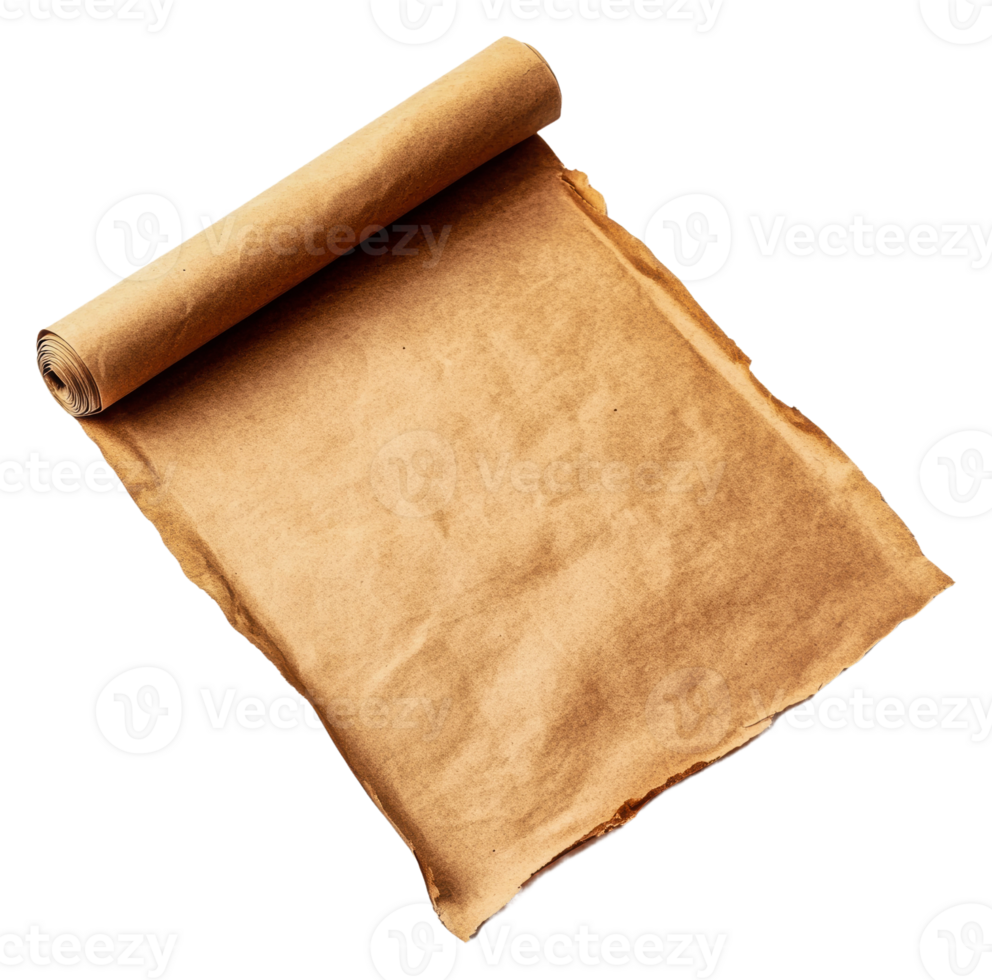 Craft paper roll ready for creative projects today, cut out - stock . png
