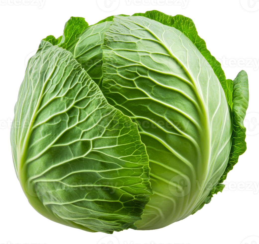 Fresh green cabbage on a white background, cut out - stock . png