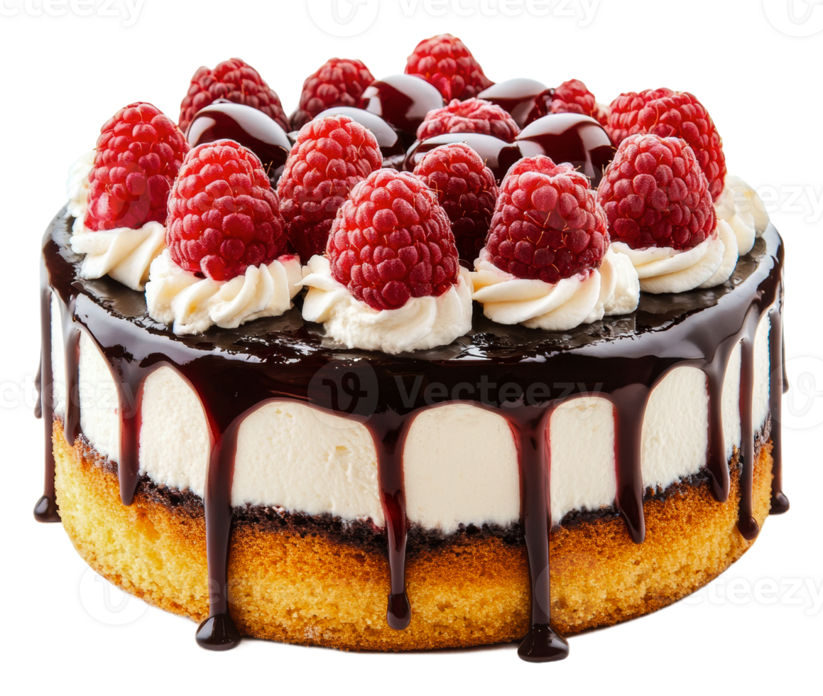 Raspberry chocolate cake with creamy layers, cut out - stock . png