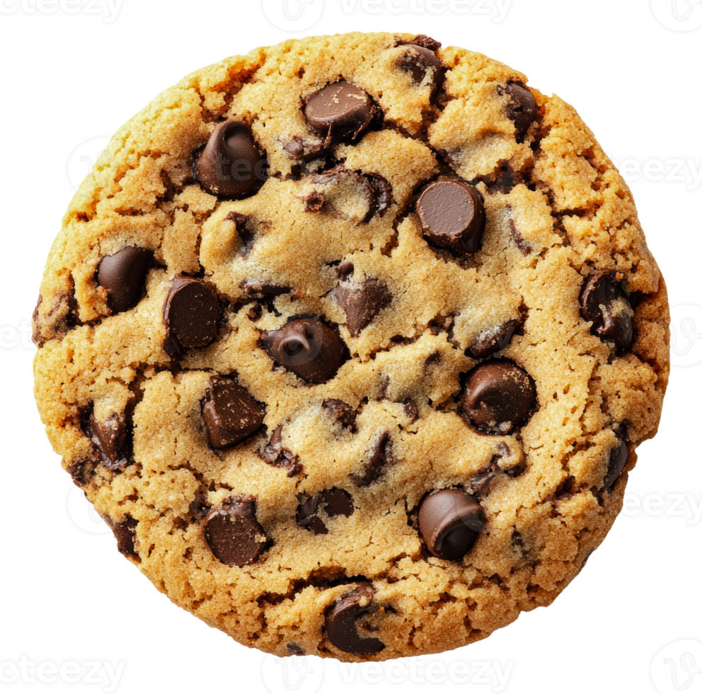 Chocolate chip cookie close-up at a bakery display, cut out - stock . png