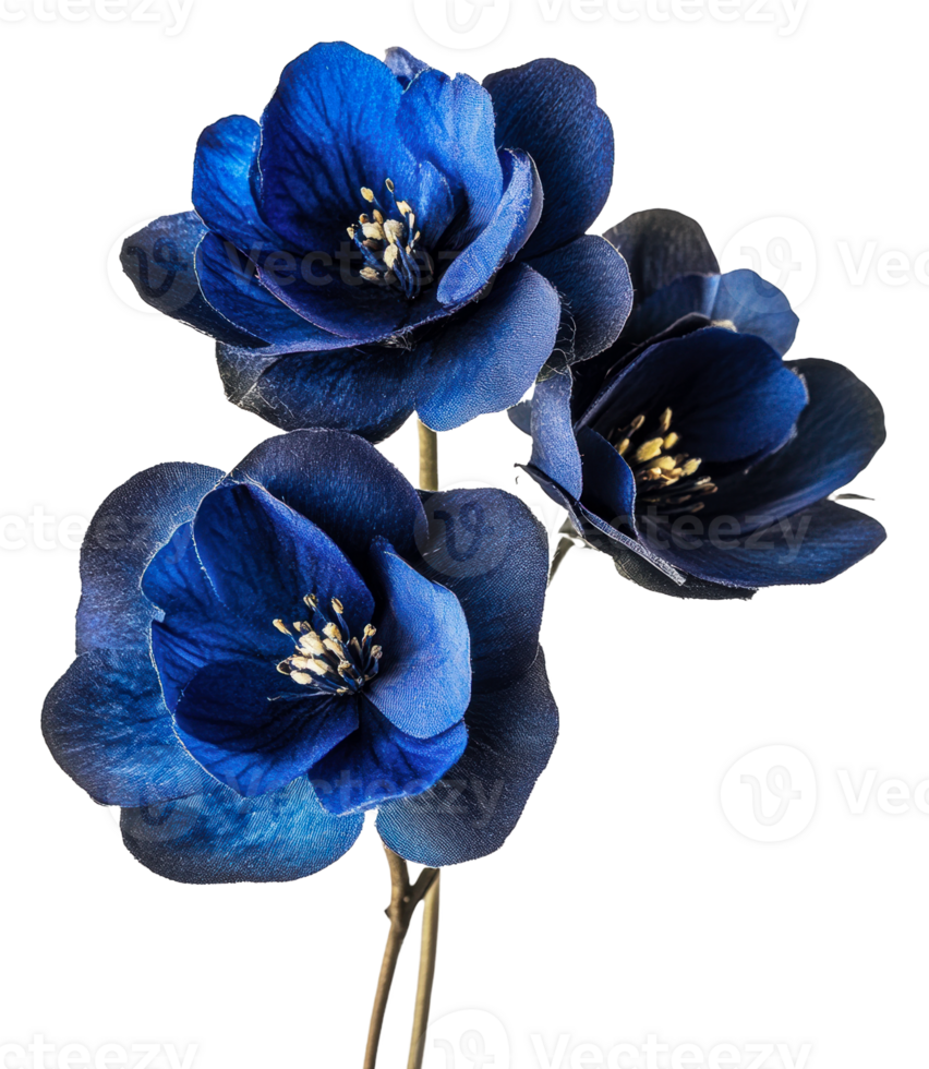 Beautiful dark blue artificial flowers in a vase, cut out - stock . png