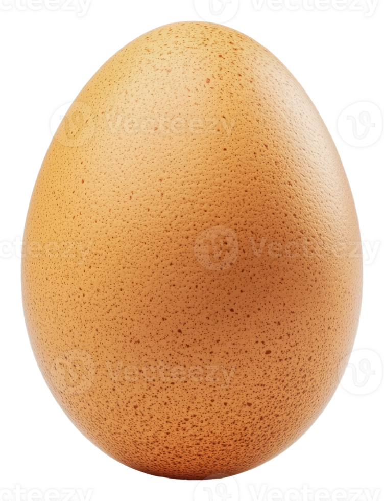 Brown egg placed on a flat surface with texture, cut out - stock . png
