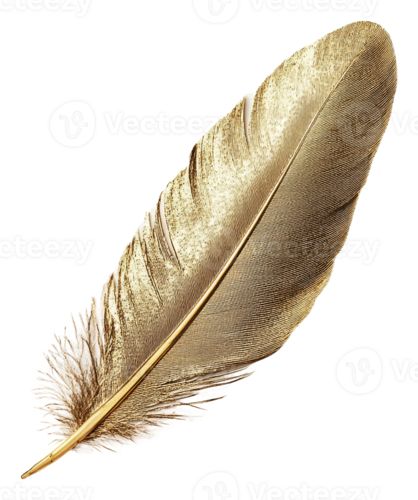 Intricate golden feather on white, cut out - stock . png