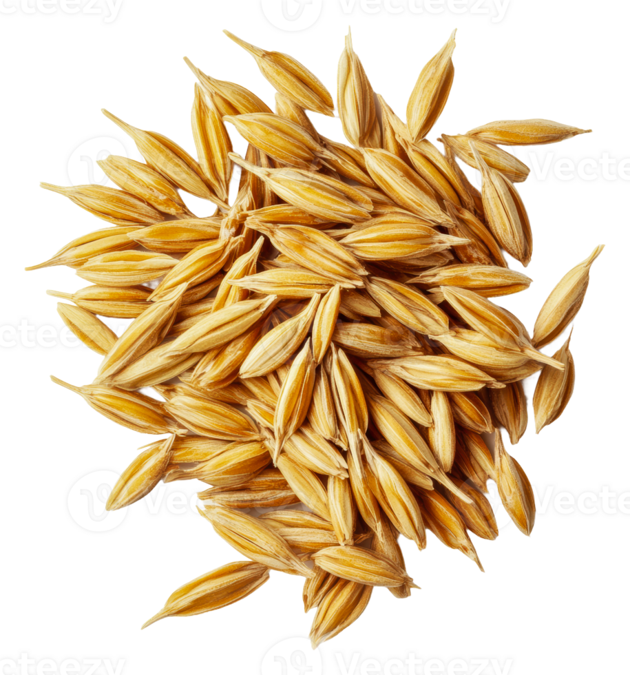 gyllene spannmål frön på vit bakgrund, skära ut - stock . png