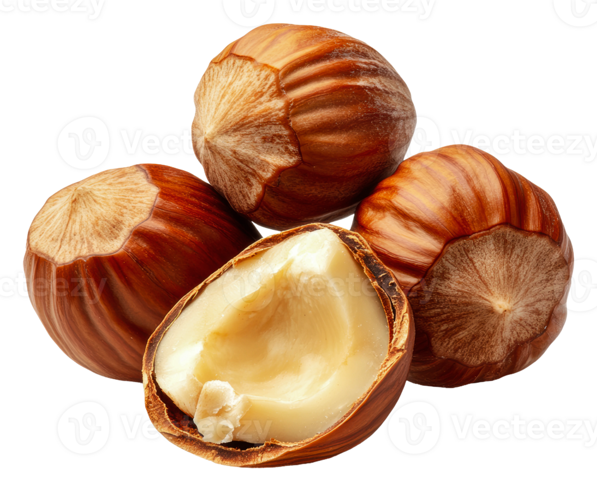 Hazelnuts in shells on white background, cut out - stock . png