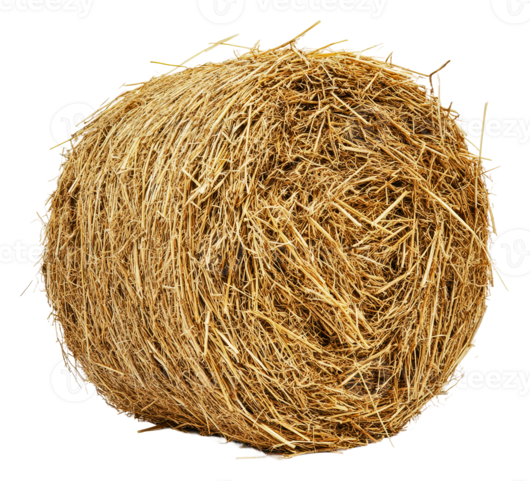 Round hay bale resting in a sunny field, cut out - stock . png