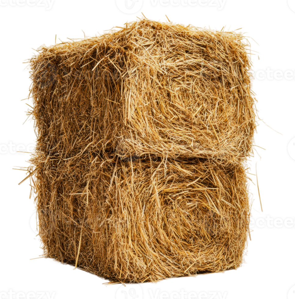Stacked hay bales in a sunny rural setting, cut out - stock . png