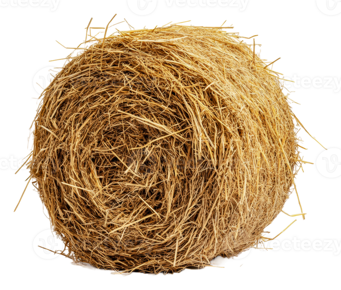 Round hay bale sitting alone on a white background, cut out - stock . png