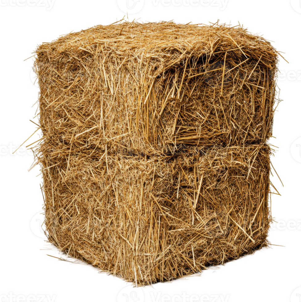 Stacked hay bales in a rustic farm setting, cut out - stock . png