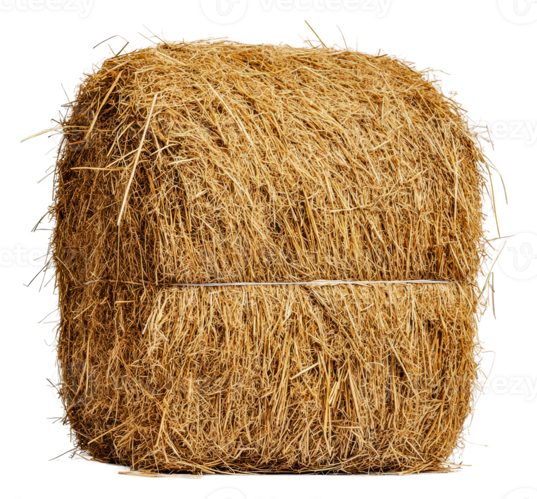 Sunny field with stacked hay bales, cut out - stock . png