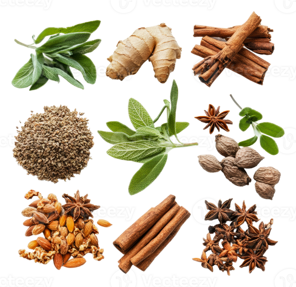 Aromatic herbs and spices assortment, cut out - stock . png