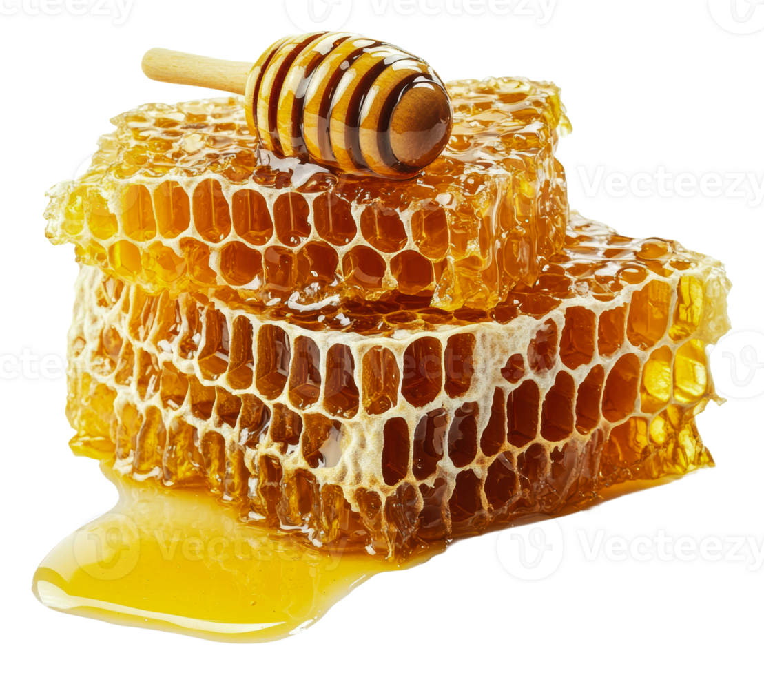 Dripping honey on honeycomb, cut out - stock . png