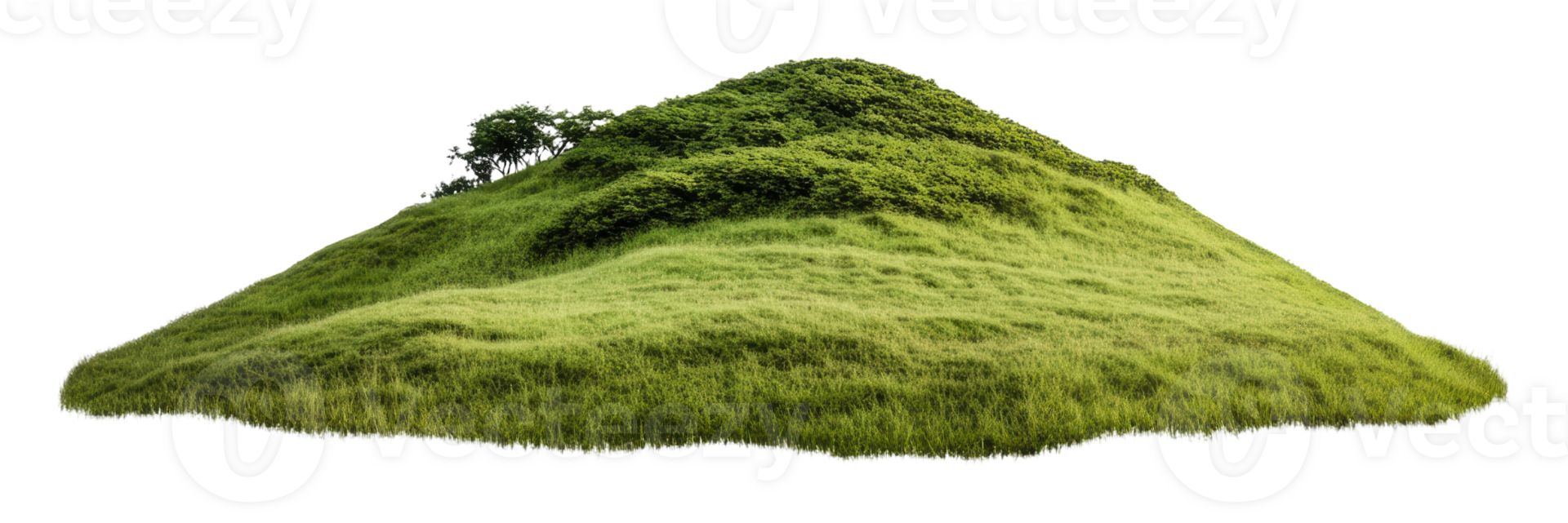 Lush green hill with gentle slope and vegetation, cut out - stock . png