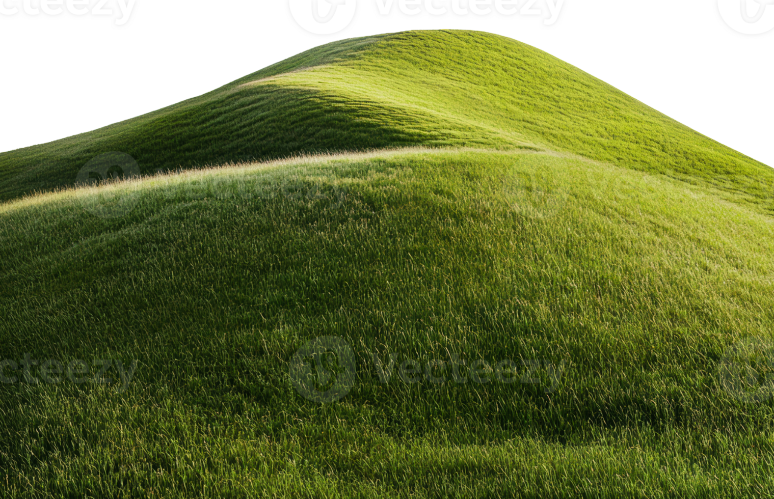 Rolling green hills with vibrant grass in sunlight, cut out - stock . png