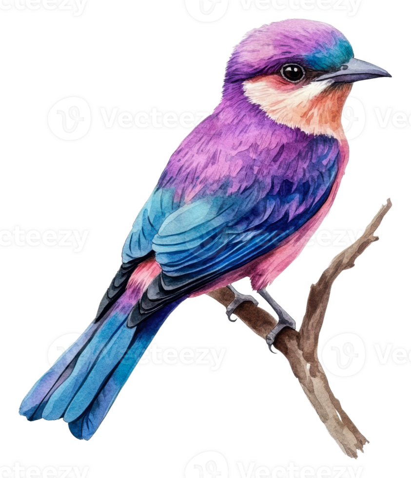 Vibrant bird on a branch in nature, cut out - stock . png