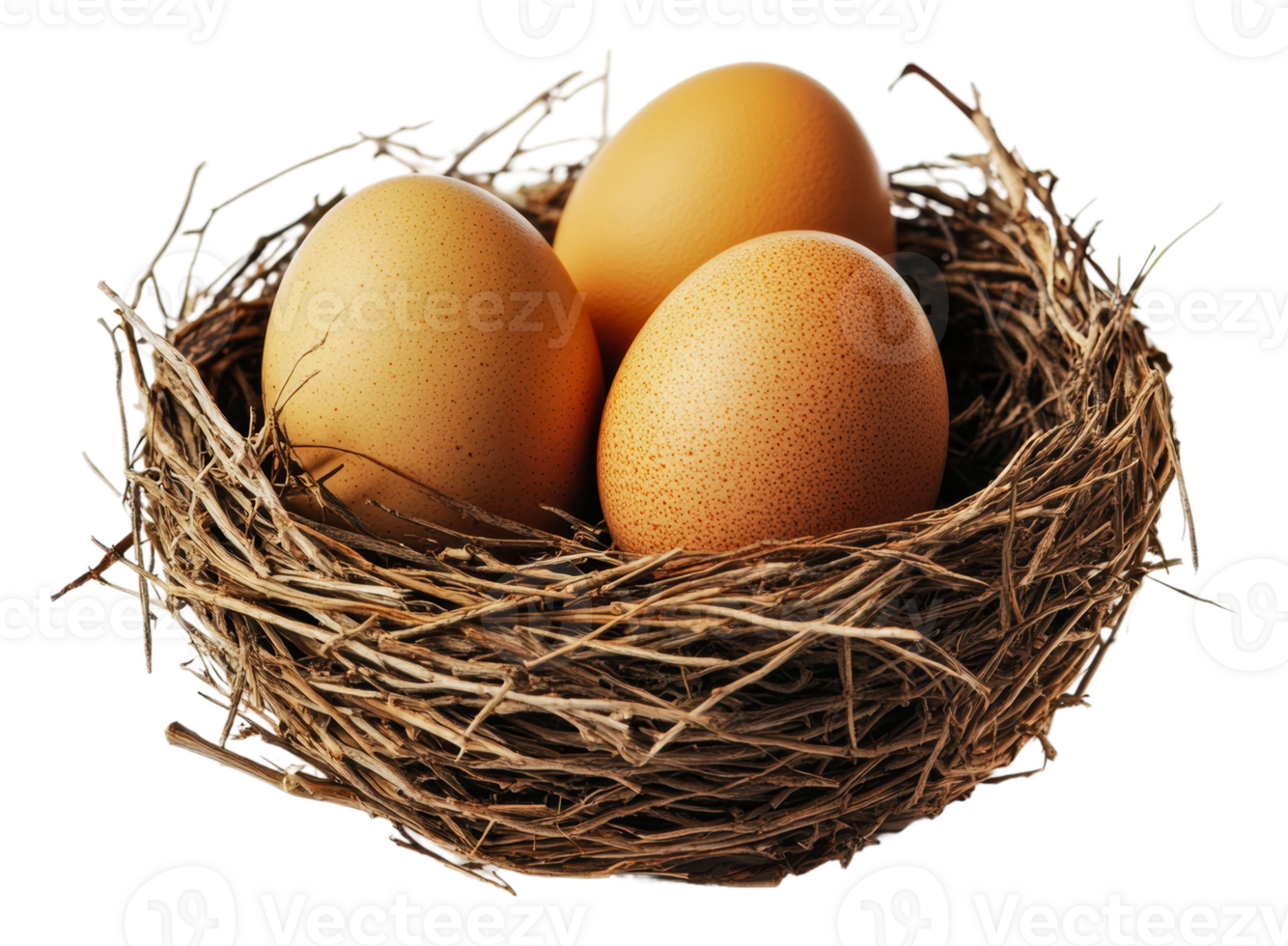 Three brown eggs nestled in a grass nest, cut out - stock . png