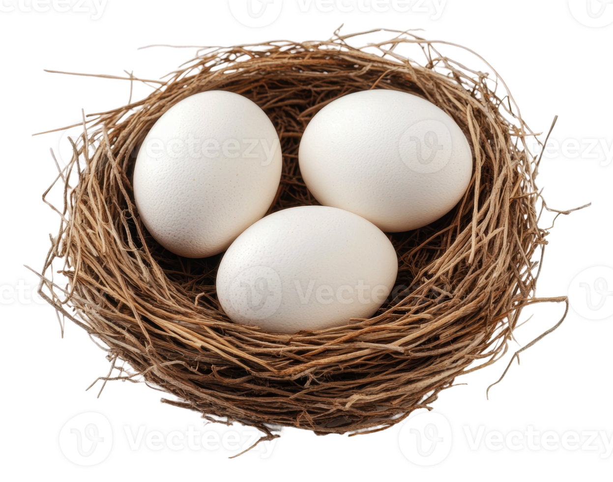 Three white eggs nestled in a natural nest, cut out - stock . png