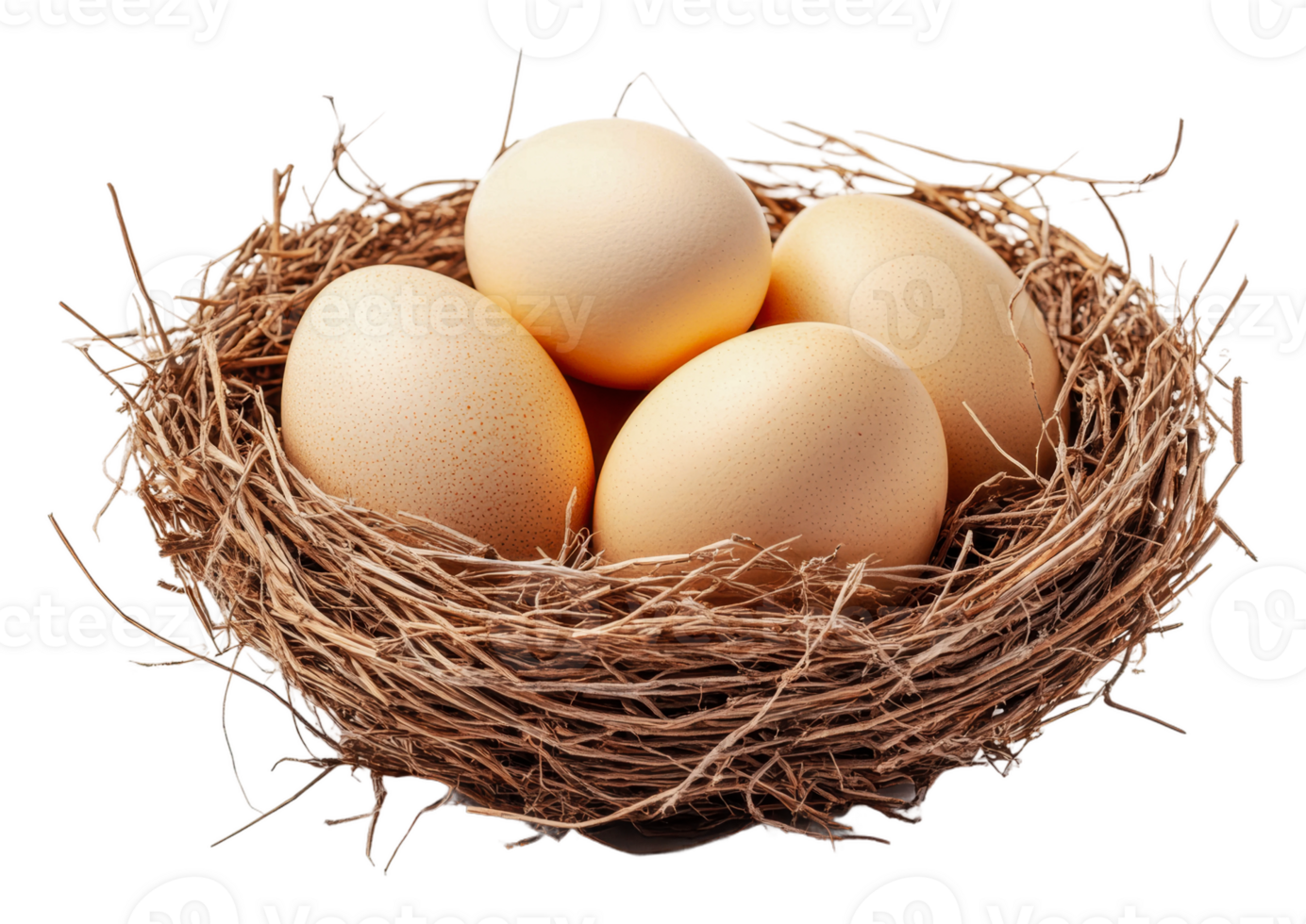 Nest with four eggs resting in natural straw, cut out - stock . png