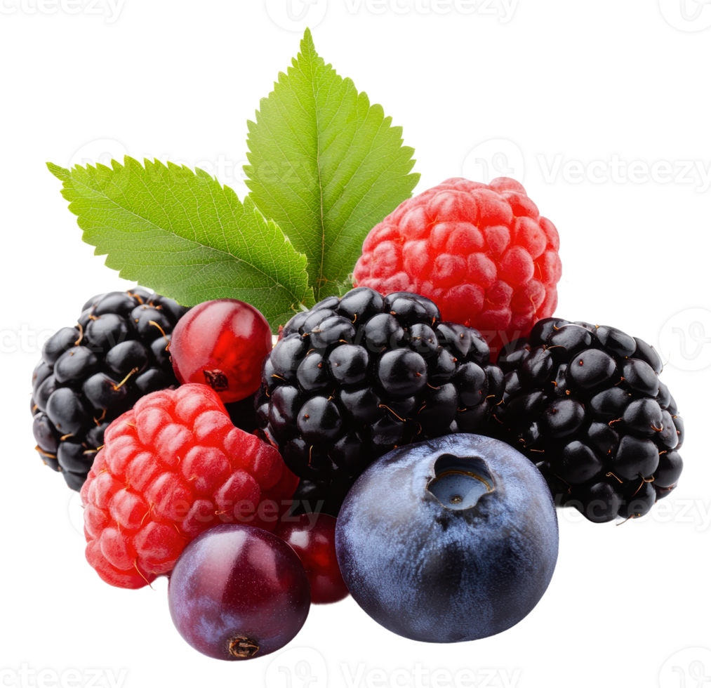 Fresh mixed berries with green leaves on display, cut out - stock . png