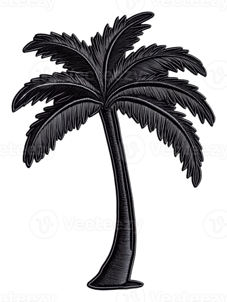 Elegant palm tree design showcasing tropical vibes, cut out - stock . png