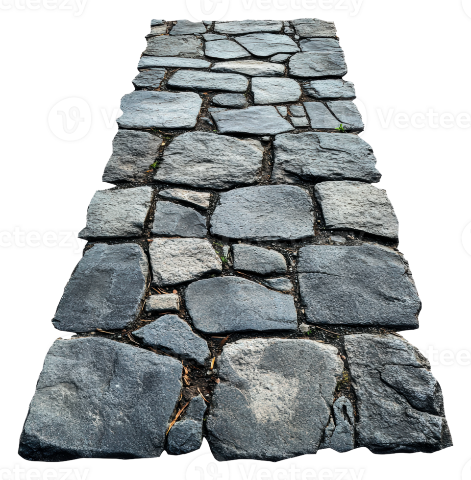 Stone pathway leading through a garden in daylight, cut out - stock . png