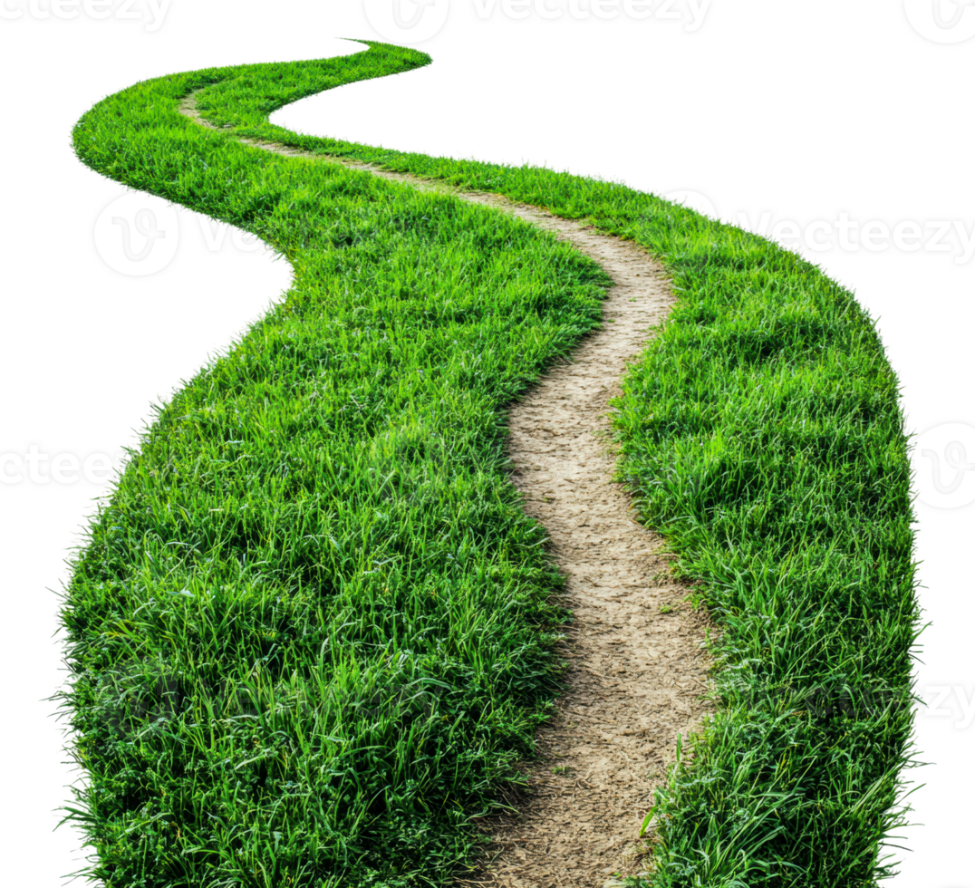 enrolamento trilha através exuberante verde Relva paisagem, cortar Fora - estoque . png