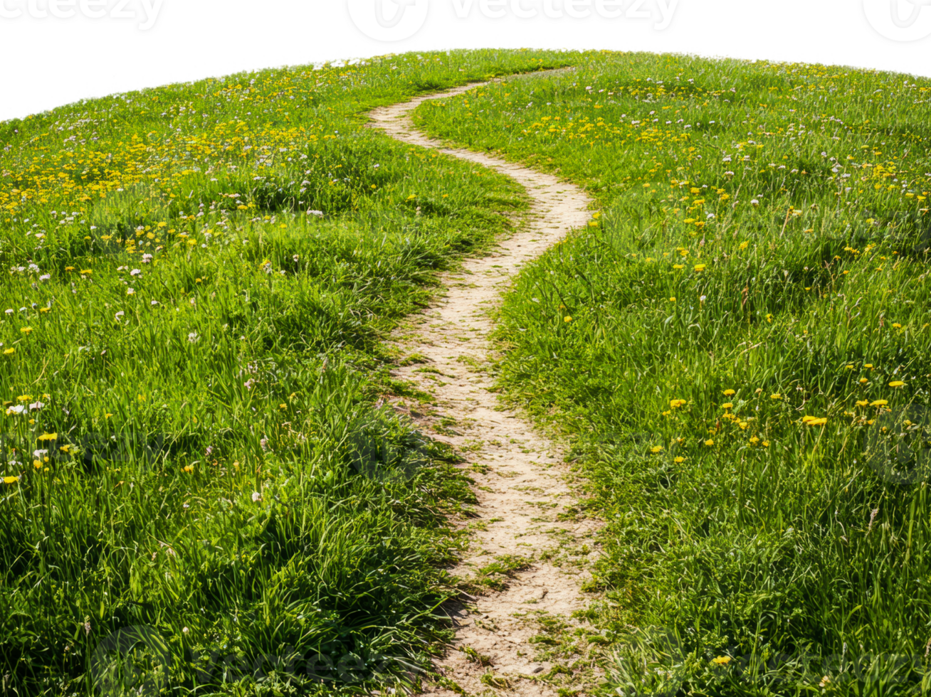 Meadow path in vibrant spring green, cut out - stock . png