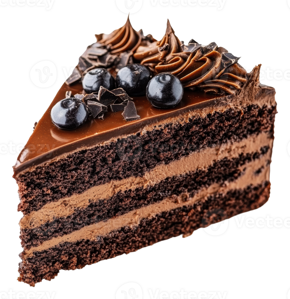 Chocolate cake slice with blueberries, cut out - stock . png
