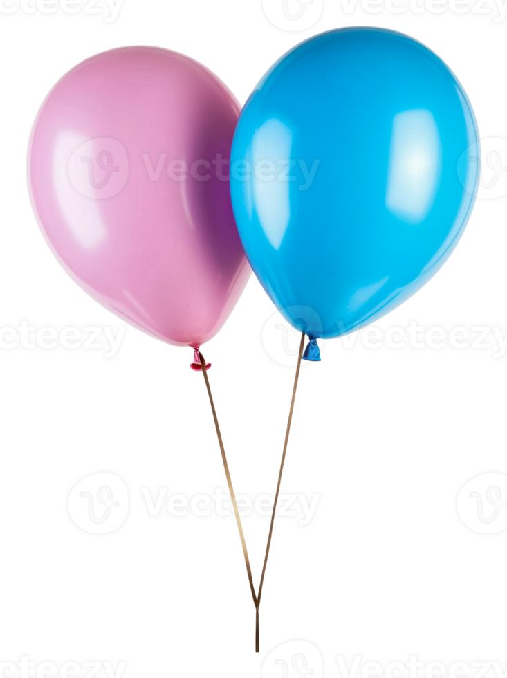 Colorful pink and blue balloons tied together, cut out - stock . png