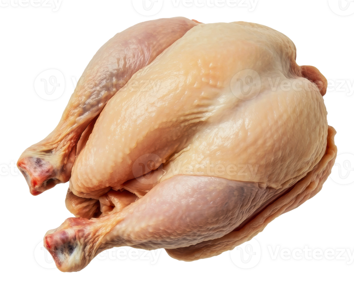 Raw whole chicken on white background, cut out - stock . png