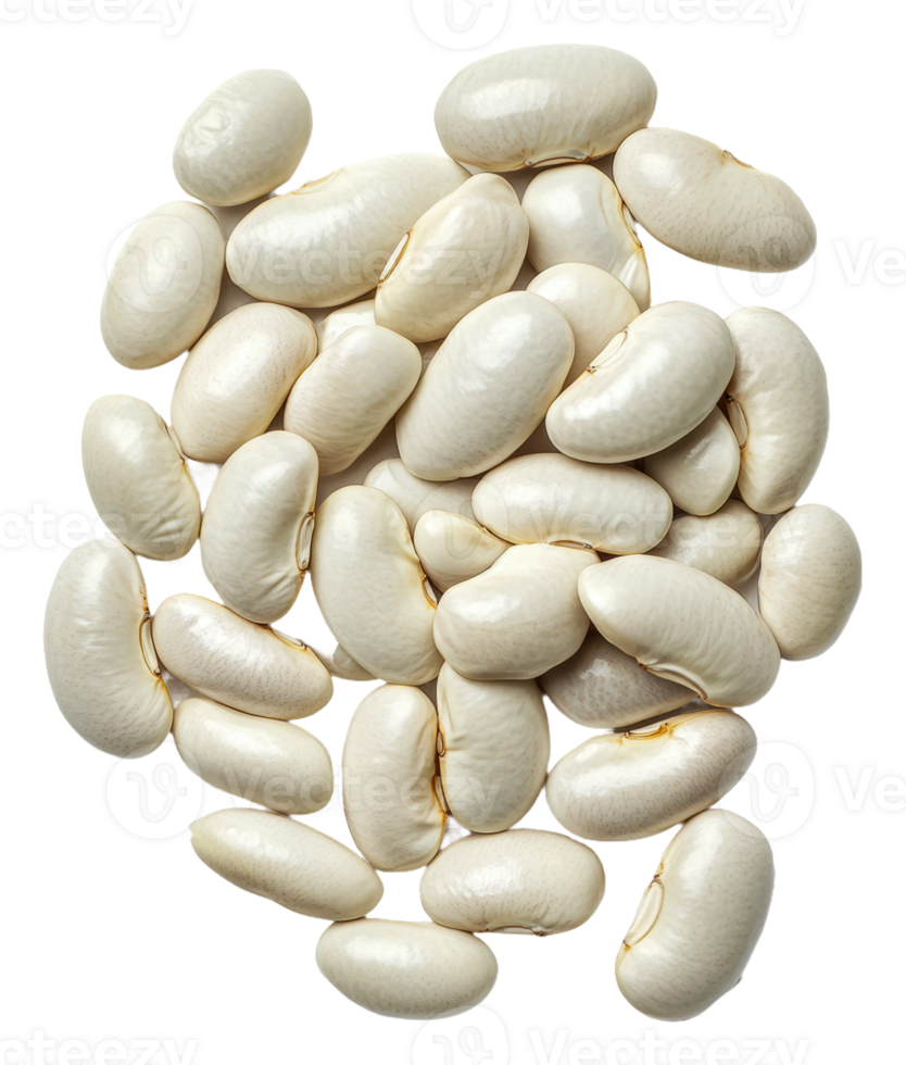 White kidney beans scattered on a plain surface, cut out - stock . png
