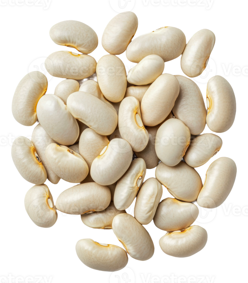 White beans scattered on clean surface for display, cut out - stock . png