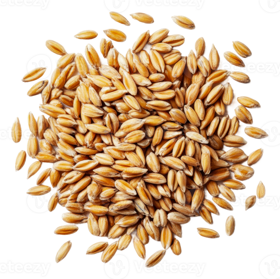 Golden grains scattered on a white background, cut out - stock . png