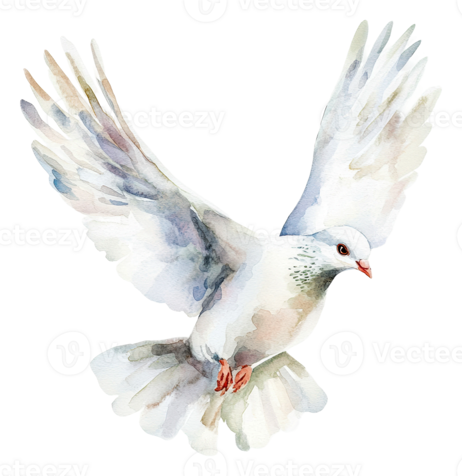 White dove soaring against a plain backdrop, cut out - stock . png