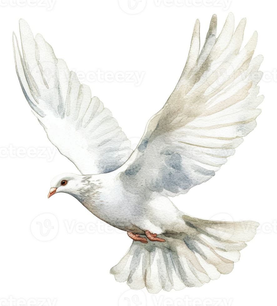 White dove soaring gracefully above lush landscape, cut out - stock . png