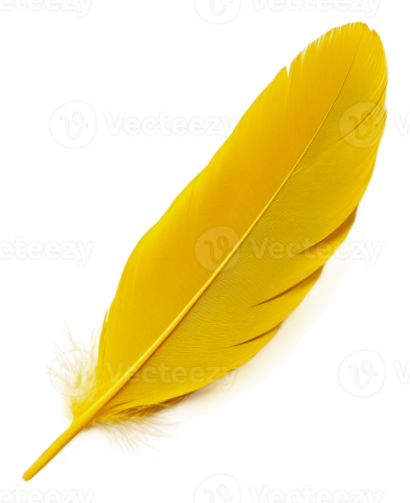 Bright yellow feather resting on a white surface, cut out - stock . png
