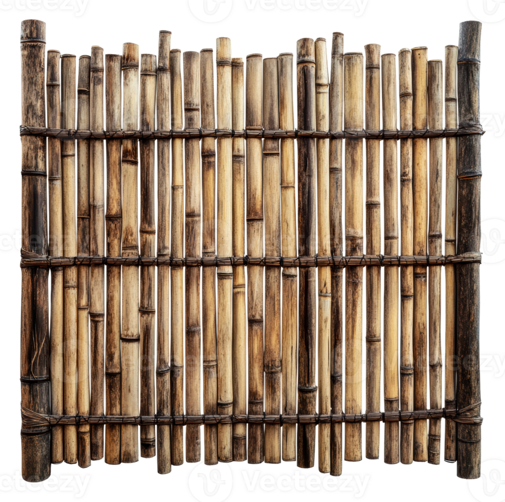 Natural bamboo fence in sunny garden, cut out - stock . png
