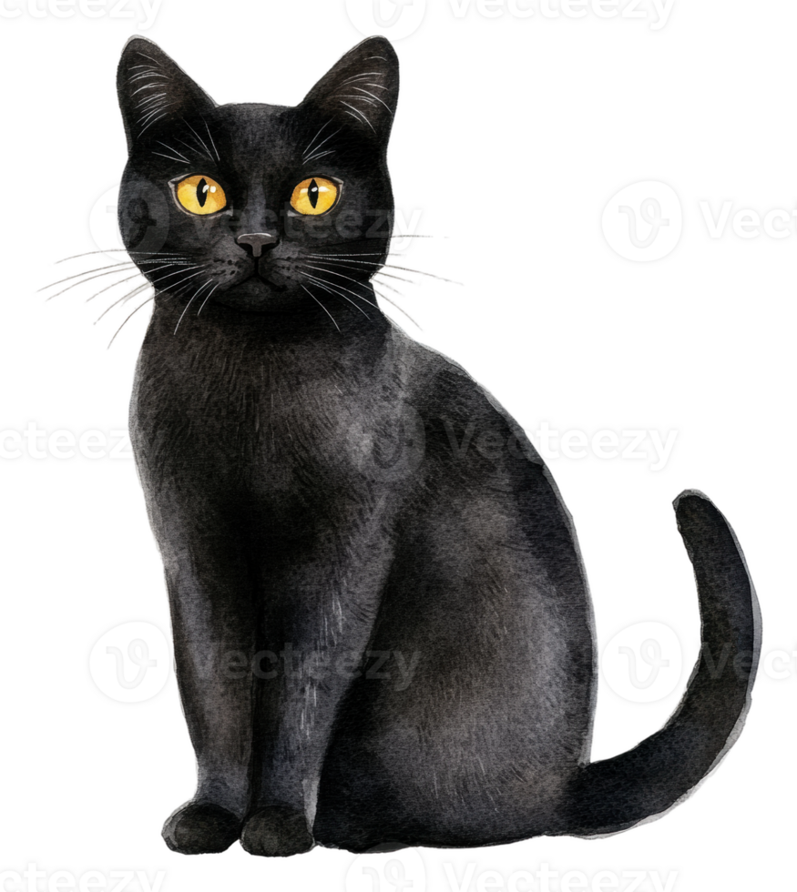 Black cat sitting calmly with bright yellow eyes, cut out - stock . png