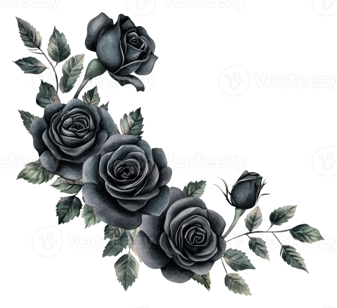 Artistic arrangement of black roses, cut out - stock . png