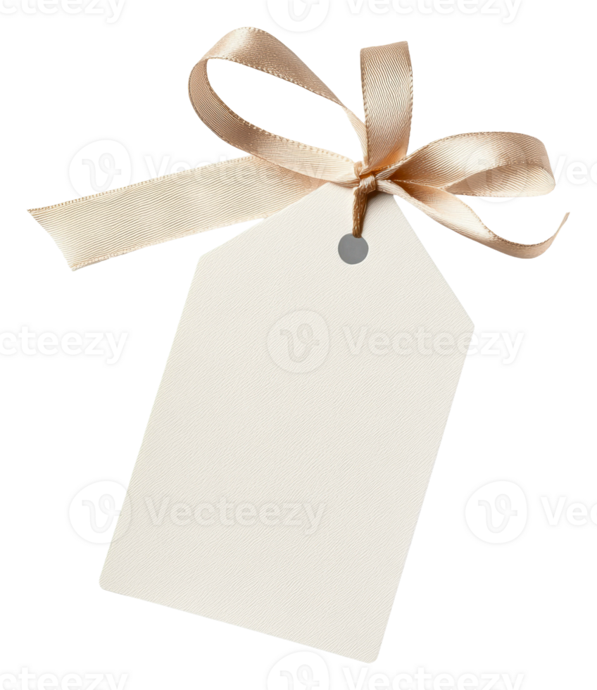Blank gift tag with a satin ribbon tied neatly, cut out - stock . png