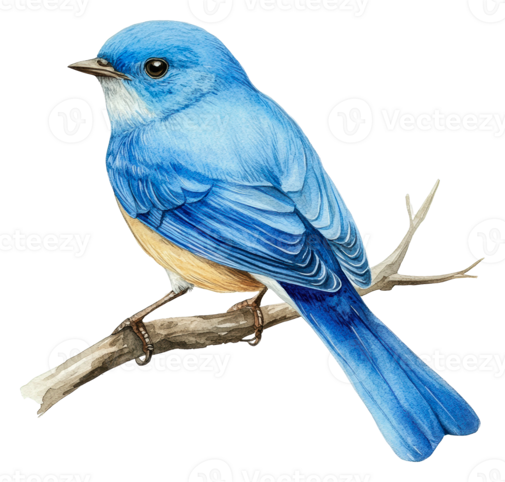 Bright blue bird perched on a branch during spring, cut out - stock . png