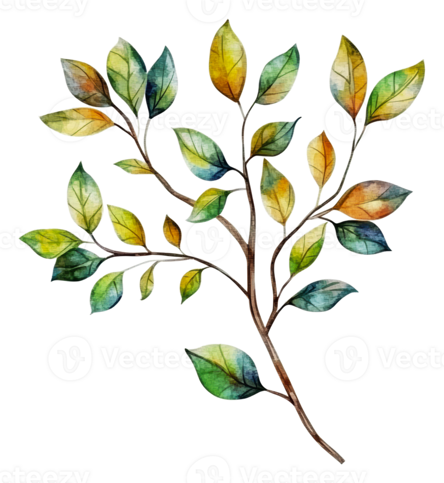 Colorful watercolor leaves on a branch in autumn, cut out - stock . png