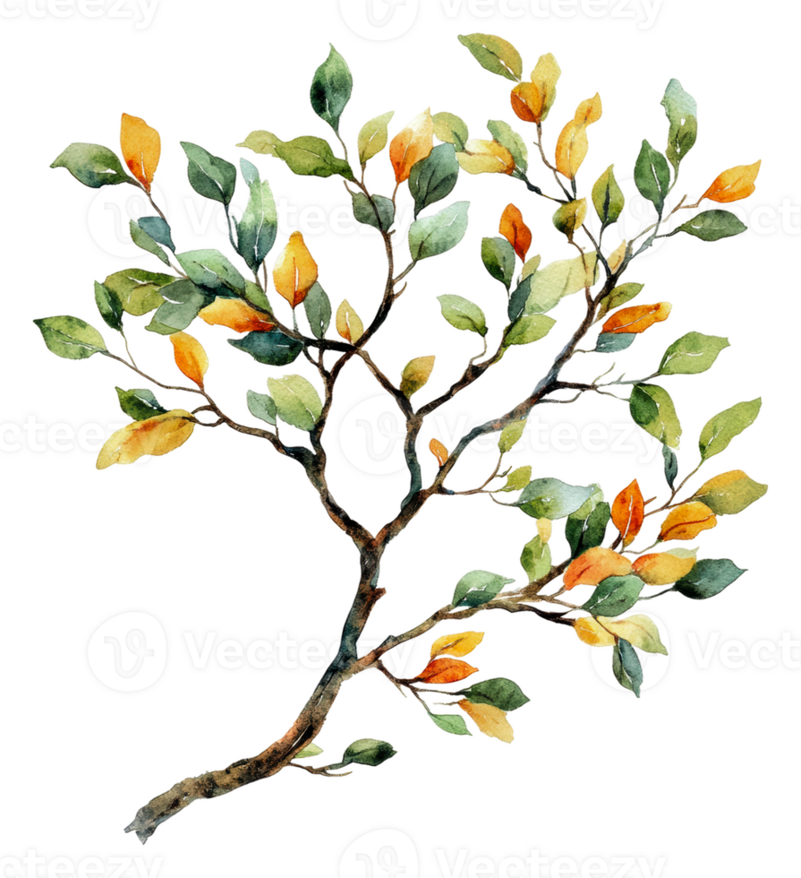 Vibrant watercolor illustration of a leafy branch, cut out - stock . png