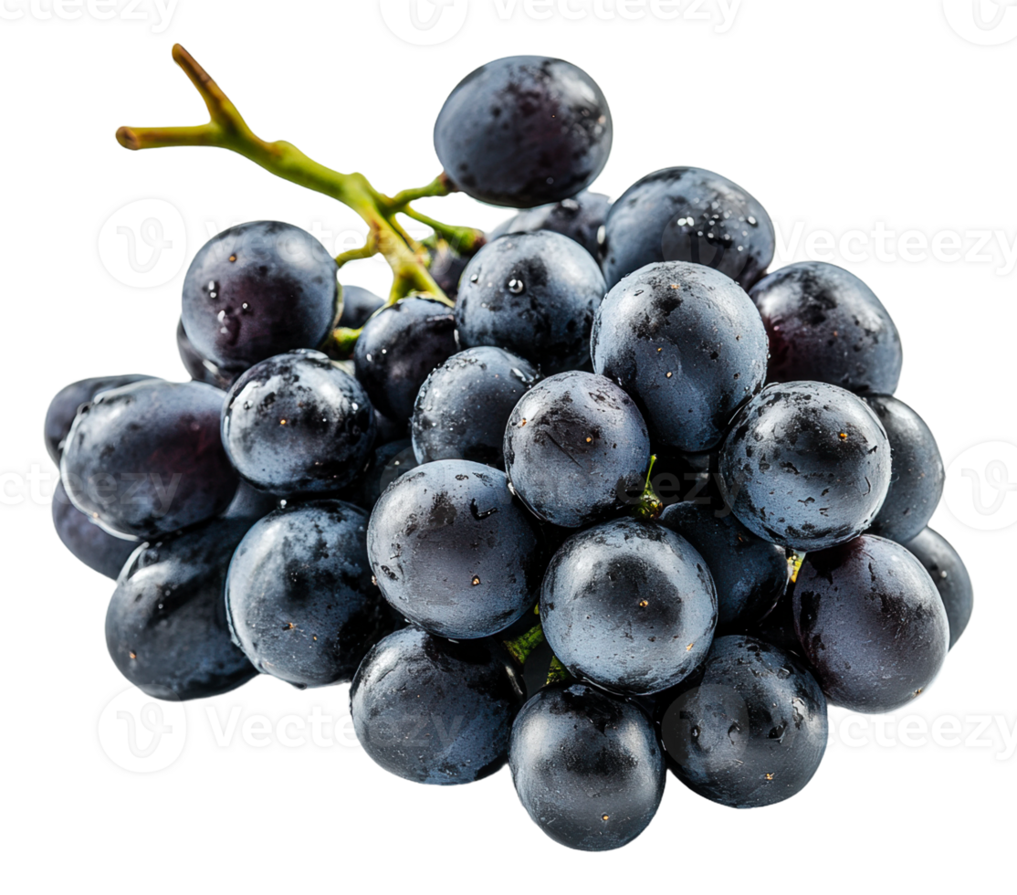 Fresh black grapes arranged on a white background, cut out - stock . png