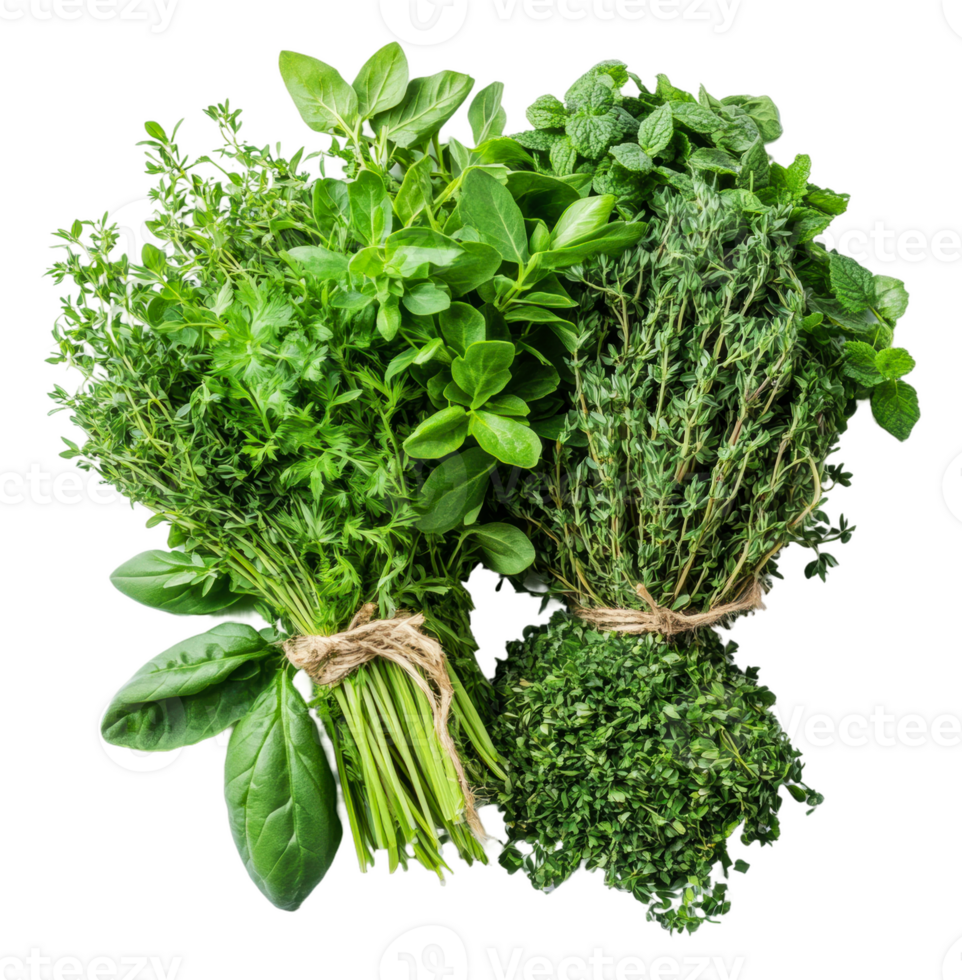 Fresco hierbas arreglado pulcramente con vibrante verduras, cortar fuera - valores . png