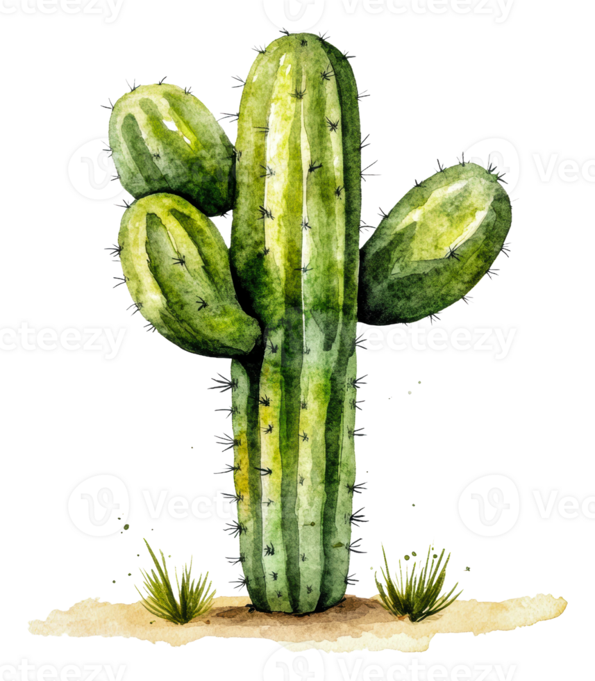 Colorful cactus art in desert scene, cut out - stock . png
