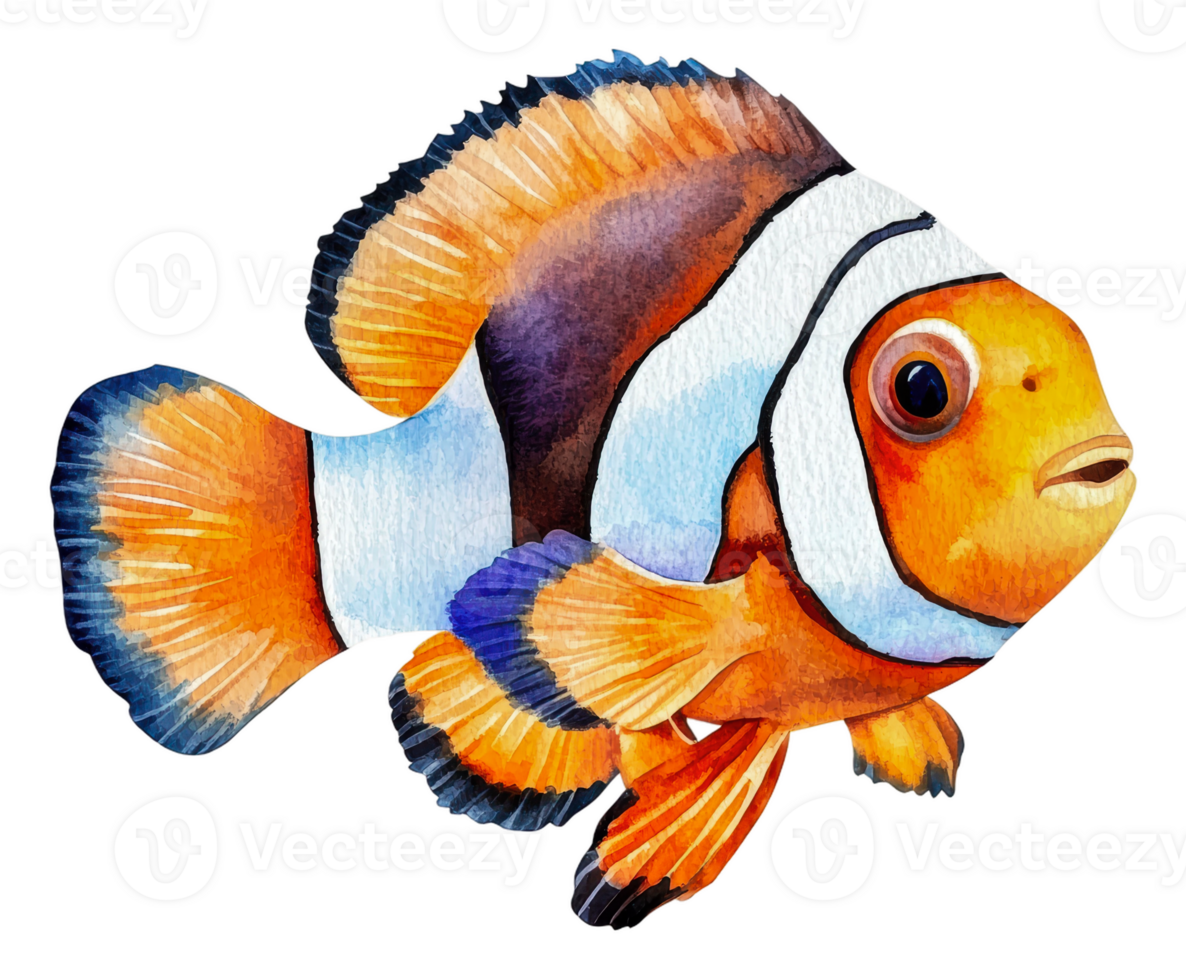 Clownfish in a vibrant coral reef, cut out - stock . png